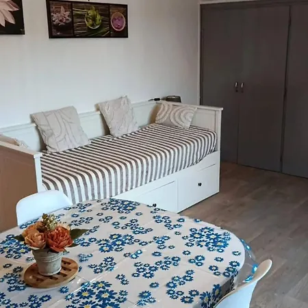 Bel Pres D'amelie-les-bains Avec Jardin Apartment Amelie-les-Bains-Palalda